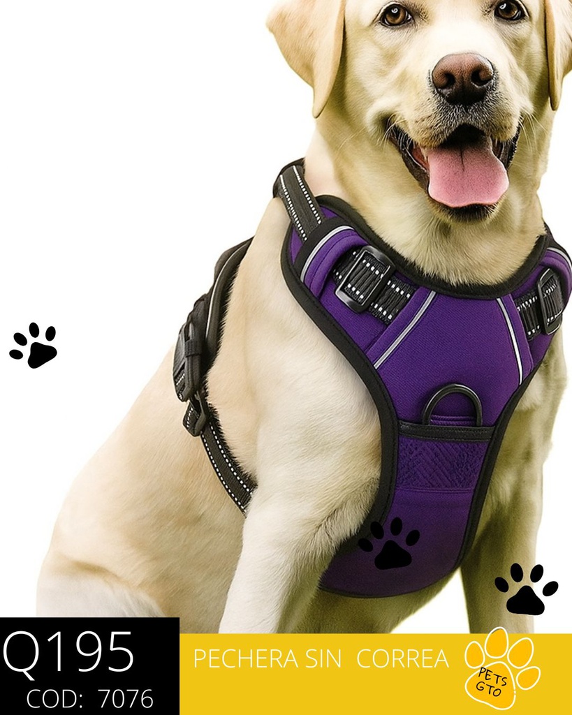 Arnés Para Perro Sin Correa Morado
