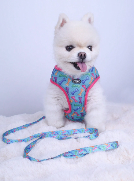 Correa De Pecho Y Espalda Con Estampado De Hueso Con Correa Para Perros Pequeños, Adecuado Para Caminar Al Aire Libre