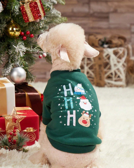 Sudadera cuello redondo con estampado de muñeco de nieve Verde