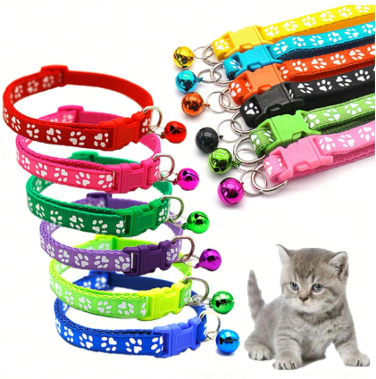 Collar De Mascota En Colores para Gato