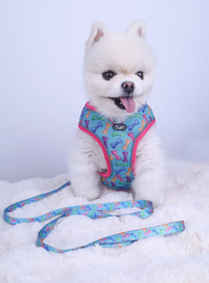 Correa De Pecho Y Espalda Con Estampado De Hueso Con Correa Para Perros Pequeños, Adecuado Para Caminar Al Aire Libre